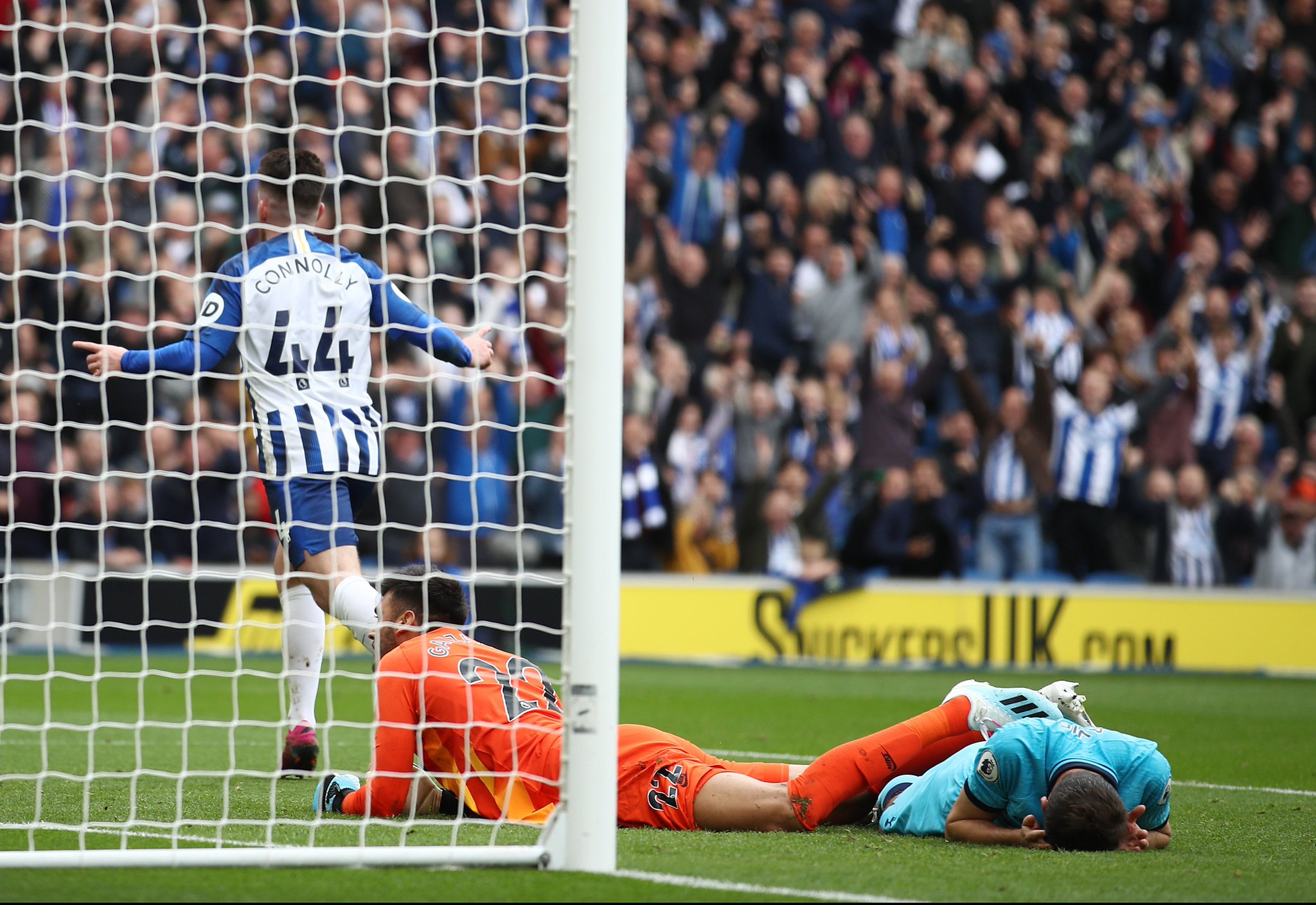 并签订了金 并签订了金